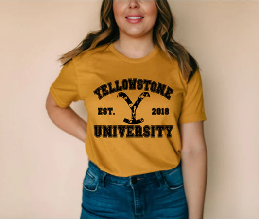 YELLOWSTONE UNIVERSITY