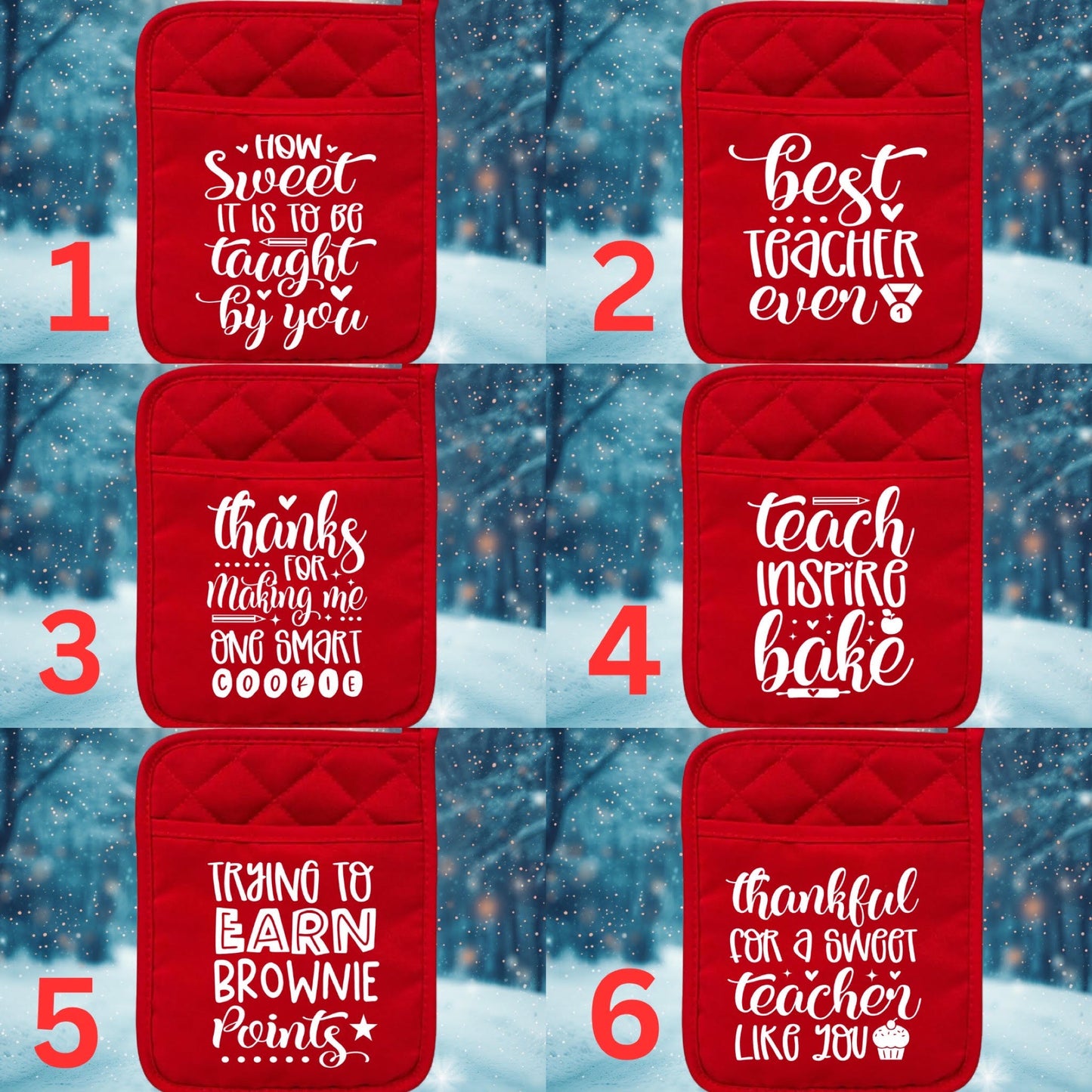 CHRISTMAS TEACHER POT HOLDER